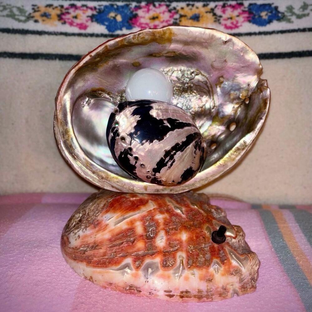 Vtg Leviton Double Abalone Seashell + Pearl Vanity Accent Lamp